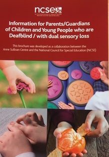 Image of front cover of NCSE brochure in dark red colour.