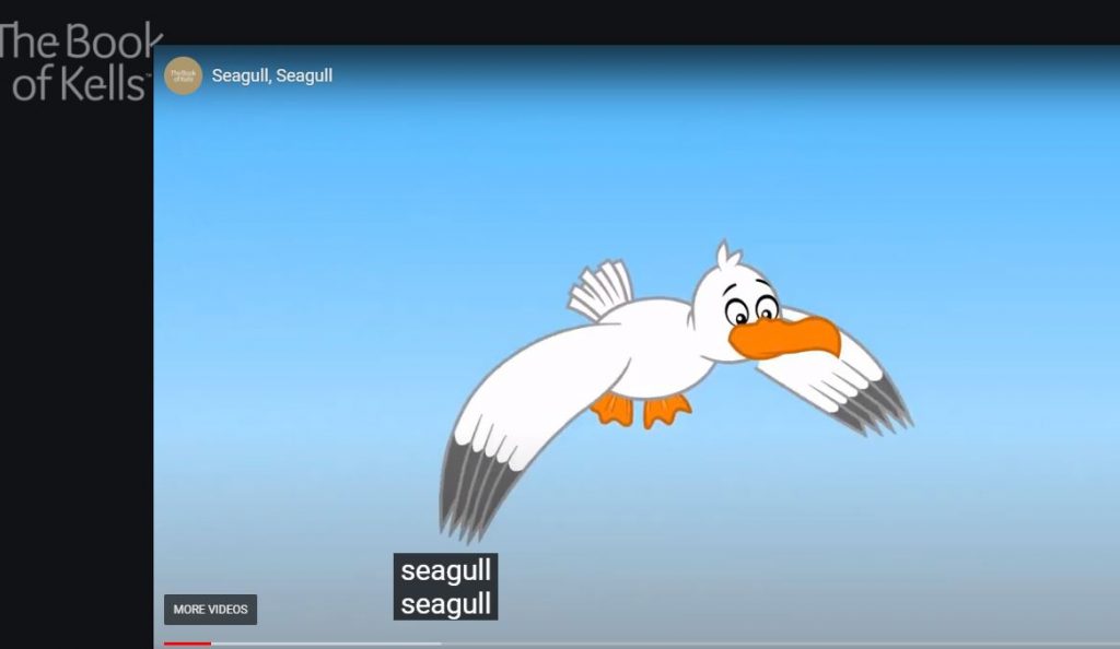 Screenshot of Seagull, seagull video