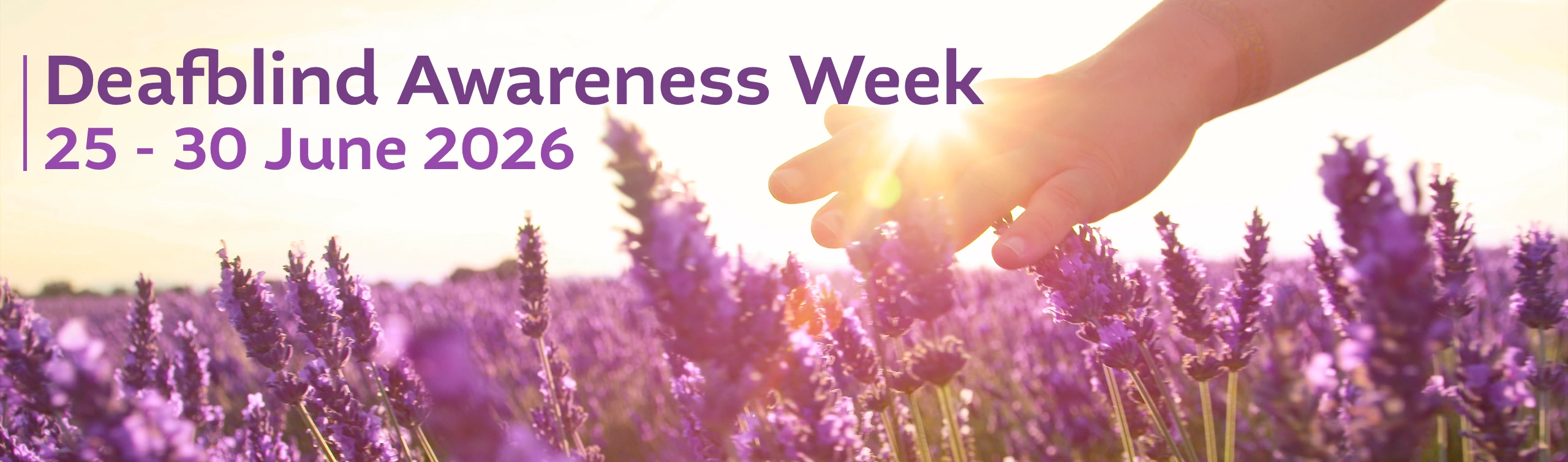 Deafblind Awareness Week 25th June to 1st July 2026 text over a wheatfield background